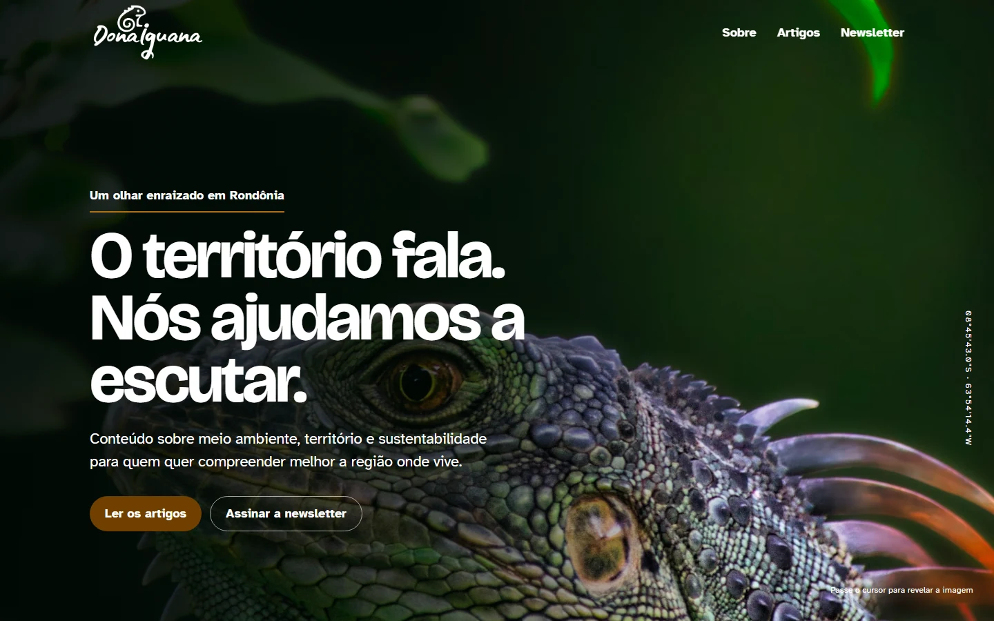 Site Dona Iguana em uma janela de navegador