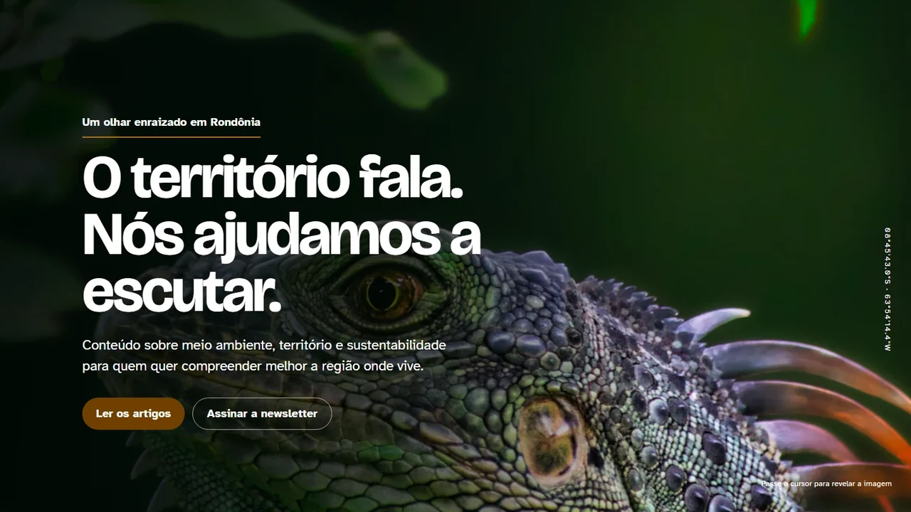 Projeto de site Iguana sobre conteúdo regional